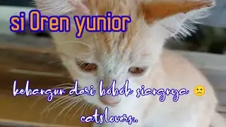 Oren yunior terbangun dari tidur