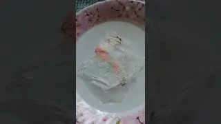 13 сентября 2022 г.