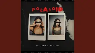 Polaroid