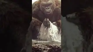 Top Movie Scene |Kong Fight Gaint Squad |Kong  Skull Island