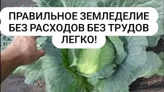 Правильное земледелие Плодородие почвы Без расходов ЛЕГКО!