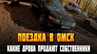 Поездка в Омск! Собственники продают дрова за конь цену! Но мы купили пару тачек по пути домой !