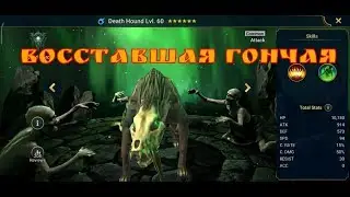 RAID: SHADOW LEGENDS GUIDE TO DEATH HOUND | NGP
