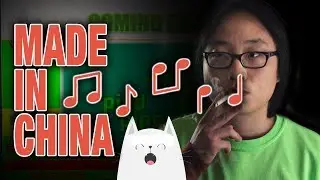 Higher brothers "Made In China" Silicon Valley mod
