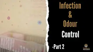 Pest Control - infection and odour control part 2