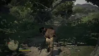 Dragon's Dogma 🦁