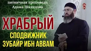 ХРАБРЫЙ СПОДВИЖНИК ЗУБАЙР ИБН АВВАМ. Шейх Адам Шахидов