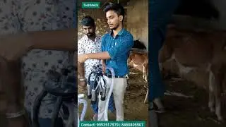 TechMech Milking Machine | Single Cluster Milking Machine | Single Bucket Milking Machine Trolley
