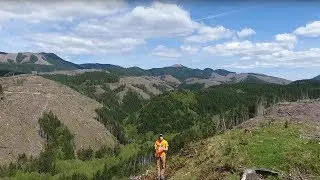 How Rayonier Foresters Use Drones in the Field
