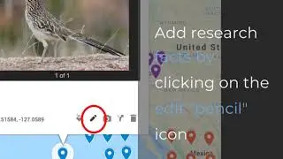 Google Certified Trainer Video