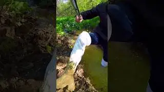 White leather boots swamp.Весна