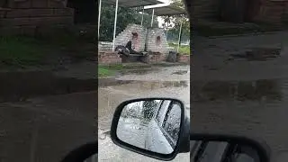 Человек без забот