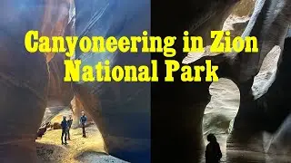 Canyoneering Adventure in Zion National Park | Pine Creek Canyon