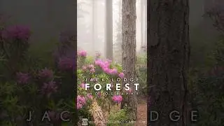 Another sneak peek!? 👀 Jack's course is coming soon!  #landscapephotography #photography