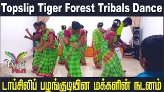 DANCE OF THE TOPSLIP TRIPLE | டாப்சிலிப் பழங்குடியின மக்களின் நடனம்