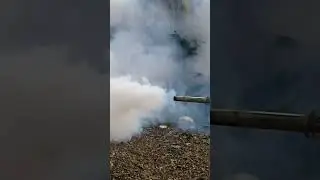 ডেঙ্গু মশা নিধন চলছে।