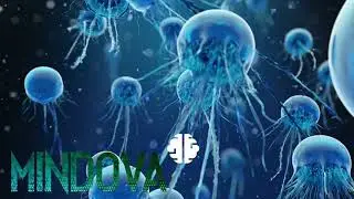 MINDOVA - Jellyfish Scene.  Anxiety, Sleep and Stress.