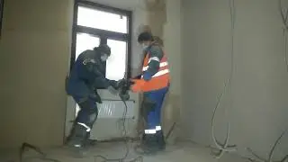 Нашальника Shorts