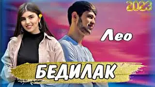 LEO - BEDILAK ( ЛЕО БЕДИЛАК ) 2023