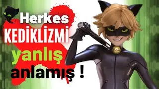 🐾 TEORİ HERKES KEDİKLİZMİ YANLIŞ ANLAMIŞ  -  MUCİZE UĞUR BÖCEĞİ VE KARA KEDİ 🐞 -