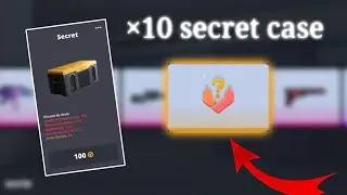OPENING 10 SECRET CASES