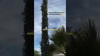 Sonoyta Zona de Guerra