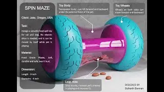 Spin Maze