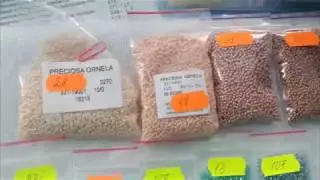 Творческие процессы, планы и результаты.