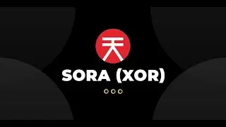 What is Sora coin?
