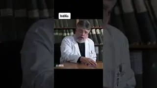 сумасшедший дом 