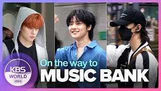 [4K] Stray Kids, ENHYPEN, CIX, AB6IX, Dreamcatcher, ZHOUMI , BOYNEXTDOOR... | 뮤직뱅크 출근길 230602