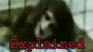 Half Woman Half Animal Explained