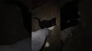 вот такой МАЛЫШ ❤❤❤❤