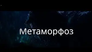 Духовный метаморфоз