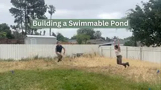 Building a Swimmable Pond with Fish: Frequently Asked Questions