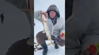 Выпускаем Мелочь, РЫБАЛКА В ТУНДРЕ