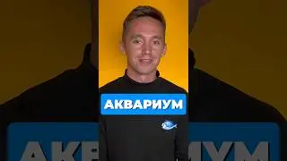 РАСЧЁТ ОБЪЁМА ПРЯМОУГОЛЬНОГО ПАРАЛЛЕЛЕПИПЕДА 🤨 #база #математика #шортс #егэ #егэ2025