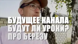 Будут ли еще уроки?\Будущее канала\Береза - крутое дерево