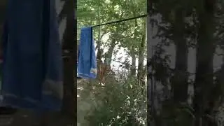 1993йилдагила йашайла борларингашукур китоб донйоршайх кишлоги