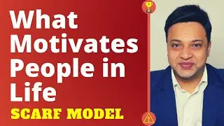 What Motivates People in Life | SCARF Model for Influencing others