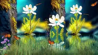 Forest Background Video Effects Video Effects HD Free Stock 30fps video Templates Animation 1080p