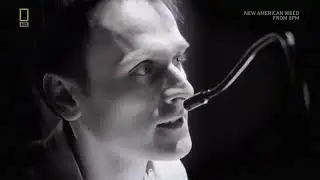 Миг до столкновения