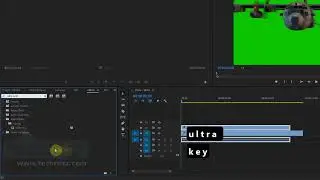 How To Remove Green Screen in Premiere Pro ｜ Chroma Key #000