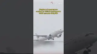 Number of passengers carried by China's homegrown C919 exceeds 500,000