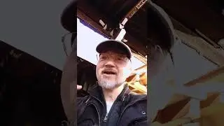 New Year's Greetings from a Japanese Shrine