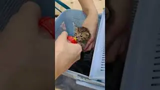 Любим ли мы свою работу?