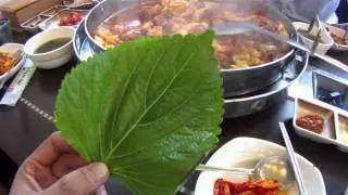 Korea 2009 ep2 first meal ไก่ผัดซอสเผ็ดเกาหลี