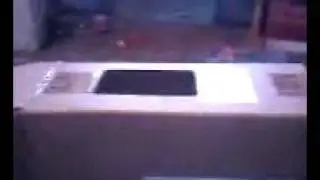 Pop Goes the Kitten