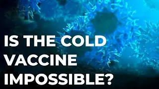 Why can't we create a vaccine for the common cold? | Quick Science #2