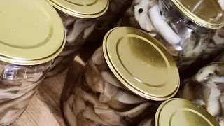 грузди на зиму... маринованные